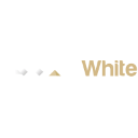 Logo AXN White
